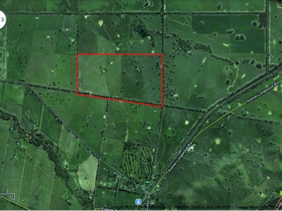 330英亩（2004.75亩）维州北部农牧场出售， ...