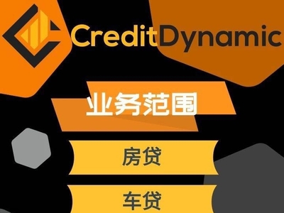 偿贷能力评估下降-CreditDynamic